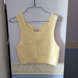 Zara Cropped Top