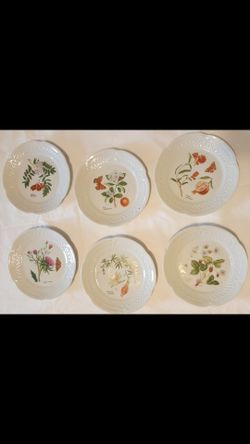 6 French Limoges porcelain botanical plates