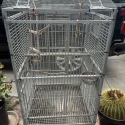  Bird Cage 