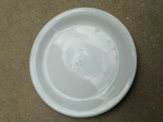 36 Dinner Plates 10.5"