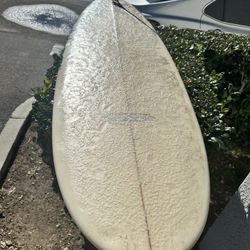Orbicular Surf Board 