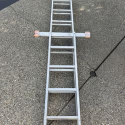 Big ladder!