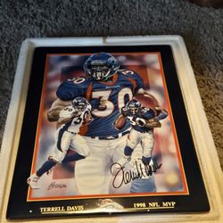 Bradford Exchange Terrell Davis Plaque 