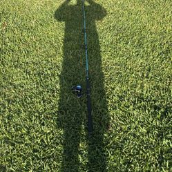 Freshwater fishing rod