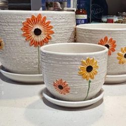 Flower Pots 