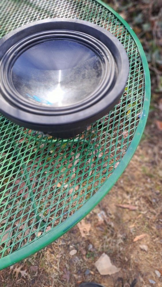 10" Alpine Subwoofer