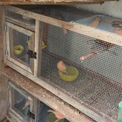 Bird Cage/juala Para Pajaros 