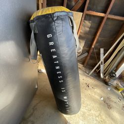 Everlast Ponching Bag