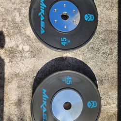 45 Pound Bumper Plates