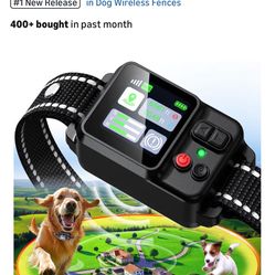Gps dog collar