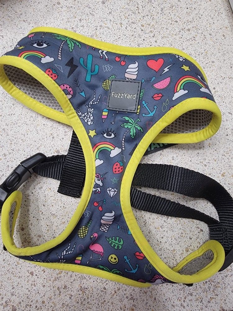 Coachella Dog Collar