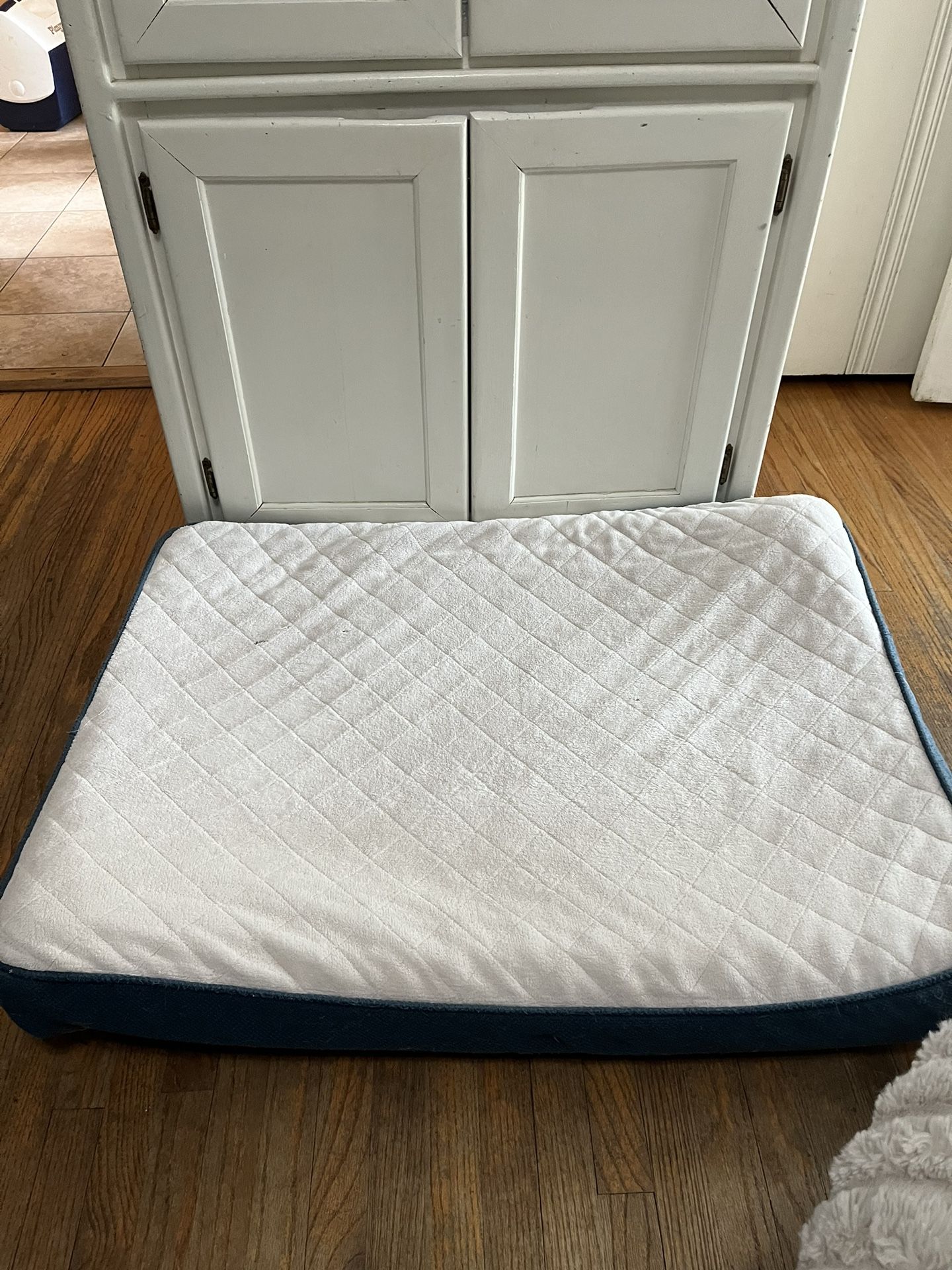 Dog Bed
