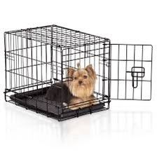 Kennel