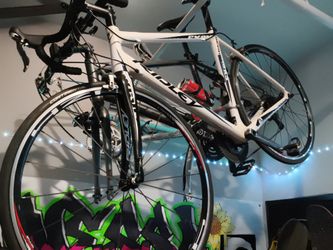 Ridley excalibur