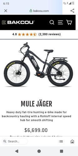 Electric bike