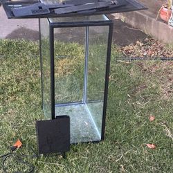 Fish Tank Idk Anything About A 40 Gallon I Think? 