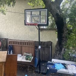 Adjustable Basketball Hoop