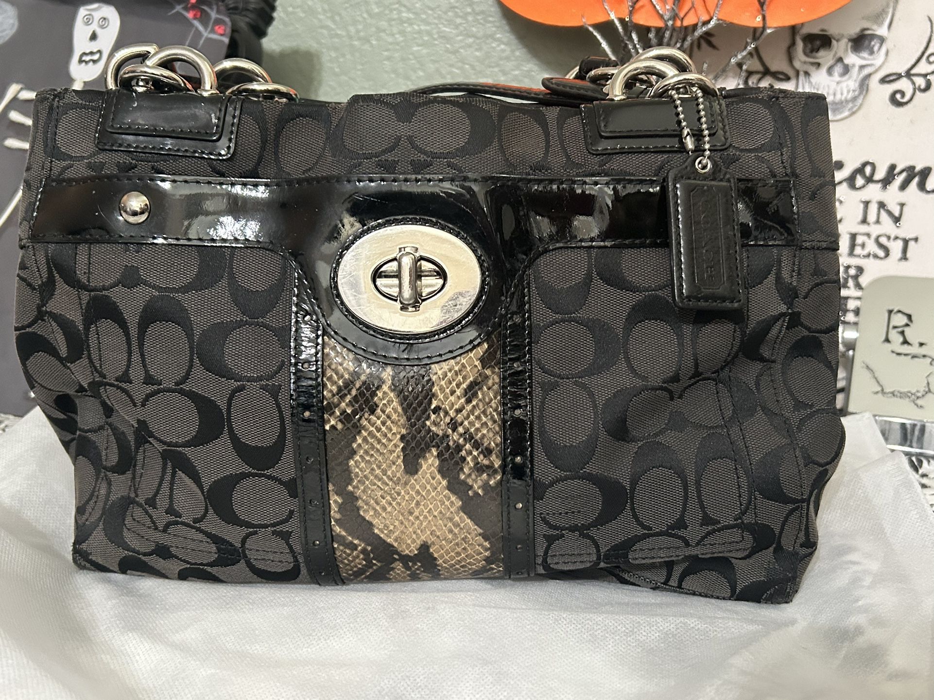 Coach Signature Python/snake Print