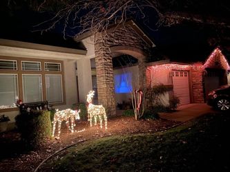 52" Animated Grapevine Standing Deer $20