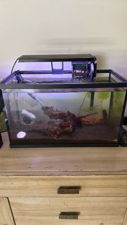 10 gallon fish tank