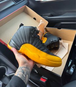 Jordan 12 Black University Gold Mens Size 11.5
