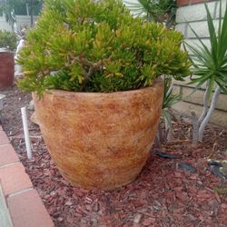 Pots