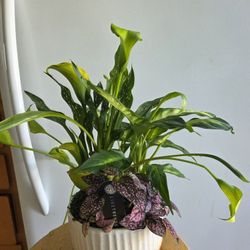 $14 Each Beautiful Green Home Decorations 