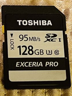 Exceria SD Card
