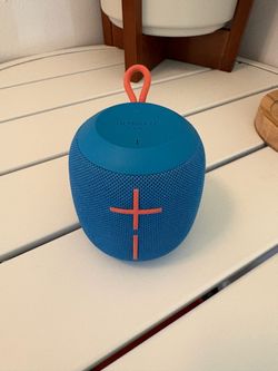 Wonderboom