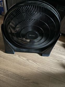 Fan