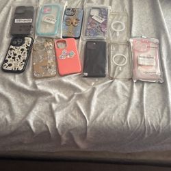 15 Pro Max Cases 