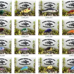 Fishing Lure For Sale