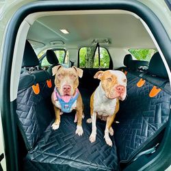 Dog Car Seat Cover with Hard Bottom