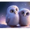 🦉 OWLS 🦉