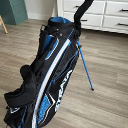 Strata Golf Bag and Driver