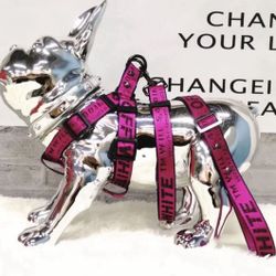 “Off-White” Dog Leash & Harness Set