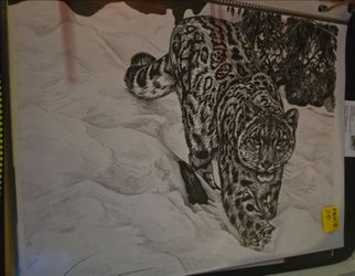 Hand Drawn Snow Leopard