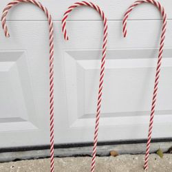3 - Red And White Candy Canes, 31.5 Inches