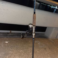 6k Twin Power Sw With 40lb Diamond braid With A 8ft 20-40 Bushido 3k