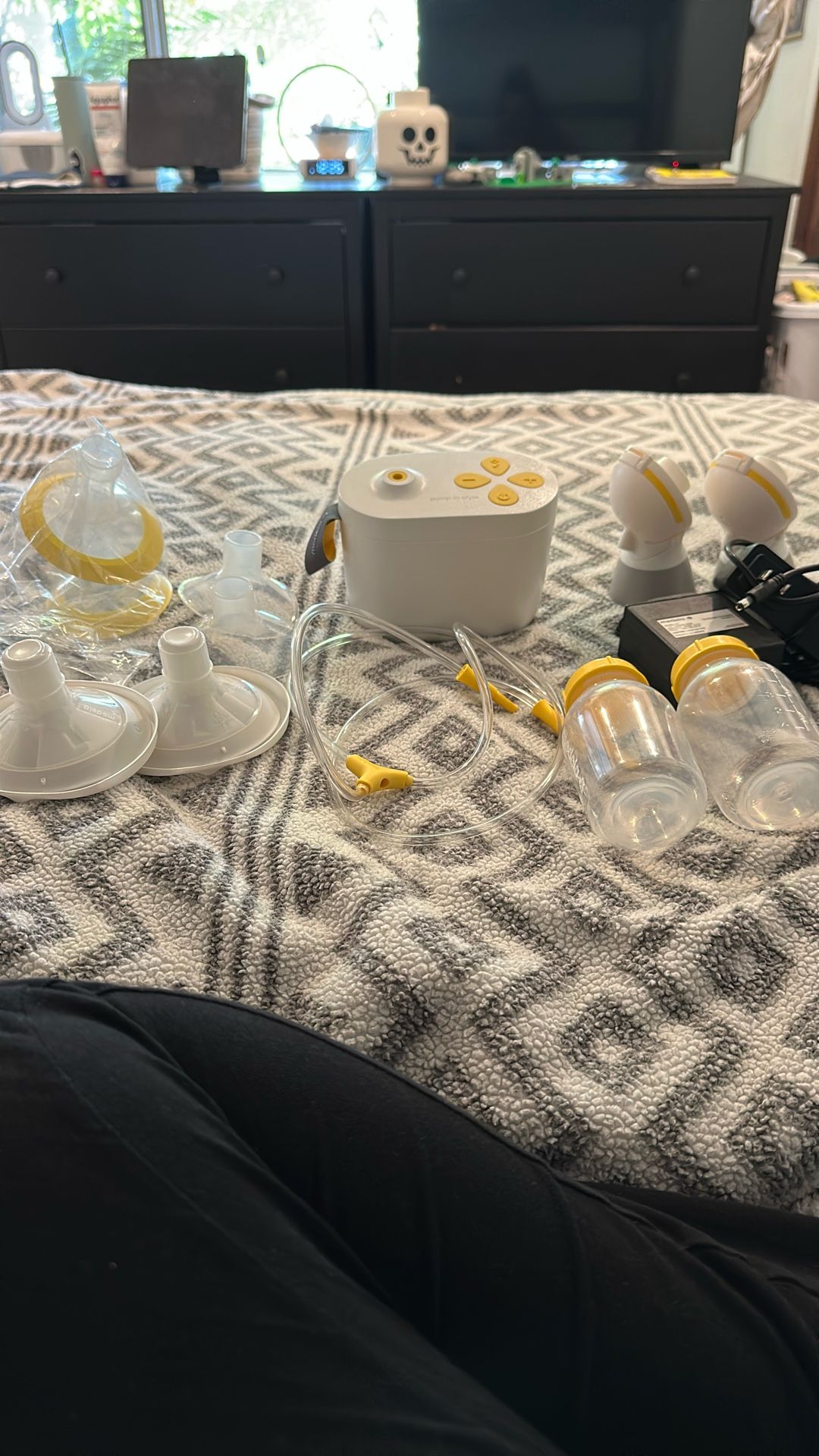 Medela Pump In Style