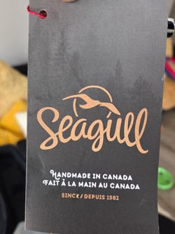 Seagull guitar (Godin)