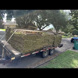 Grass Sod