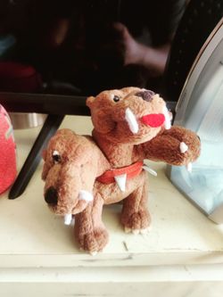 Toy