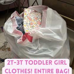 Toddler Girl Clothes