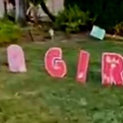It's A Girl Lawn Signs 