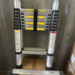 Telescoping Ladder 