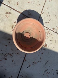 Pot