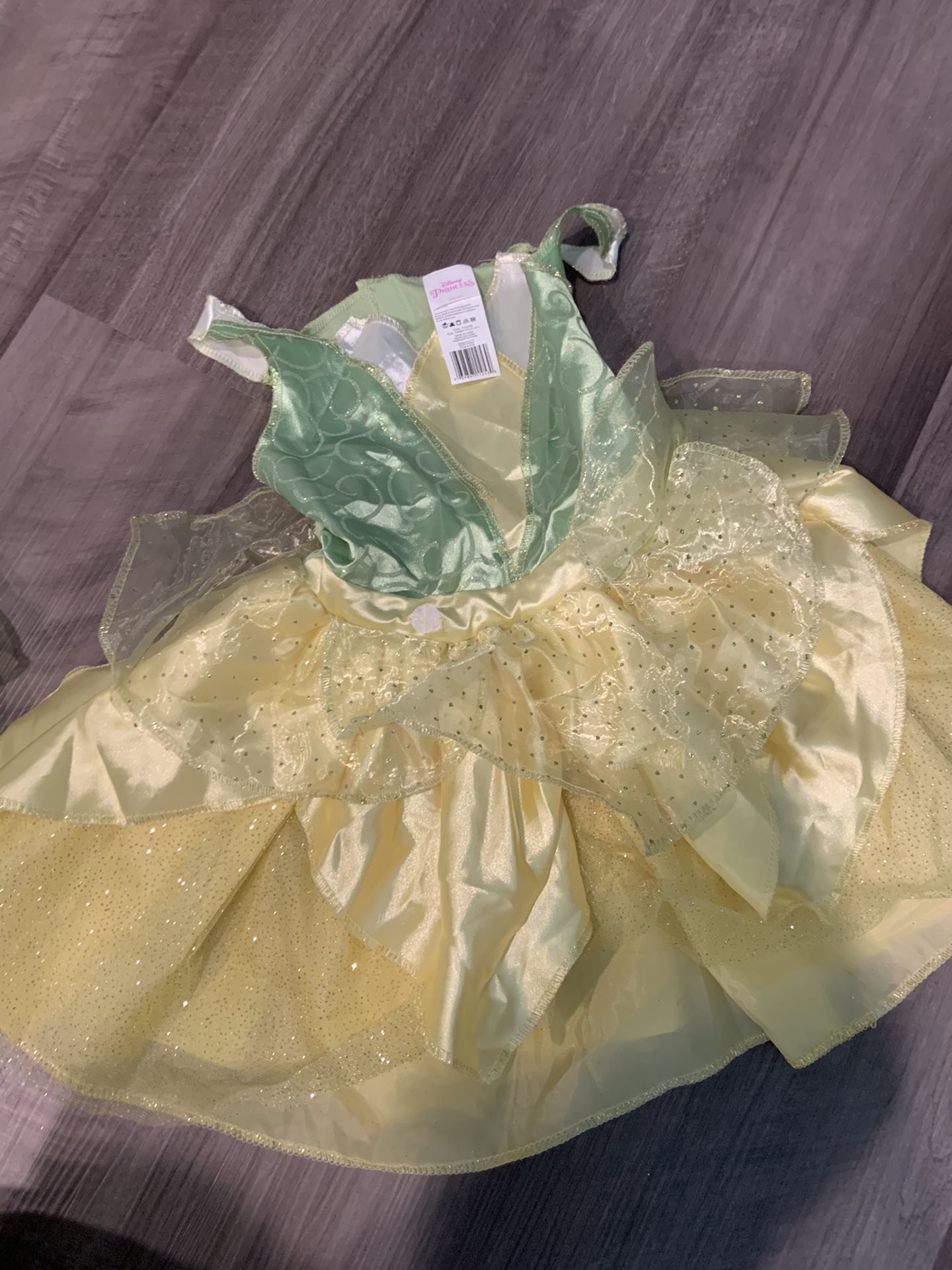 Disney Princess Tiana 