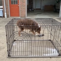 Large Dog Cage