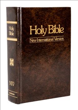 Holy Bible New International Version NIV